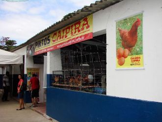 Pintos Caipira na Expofeira 2009