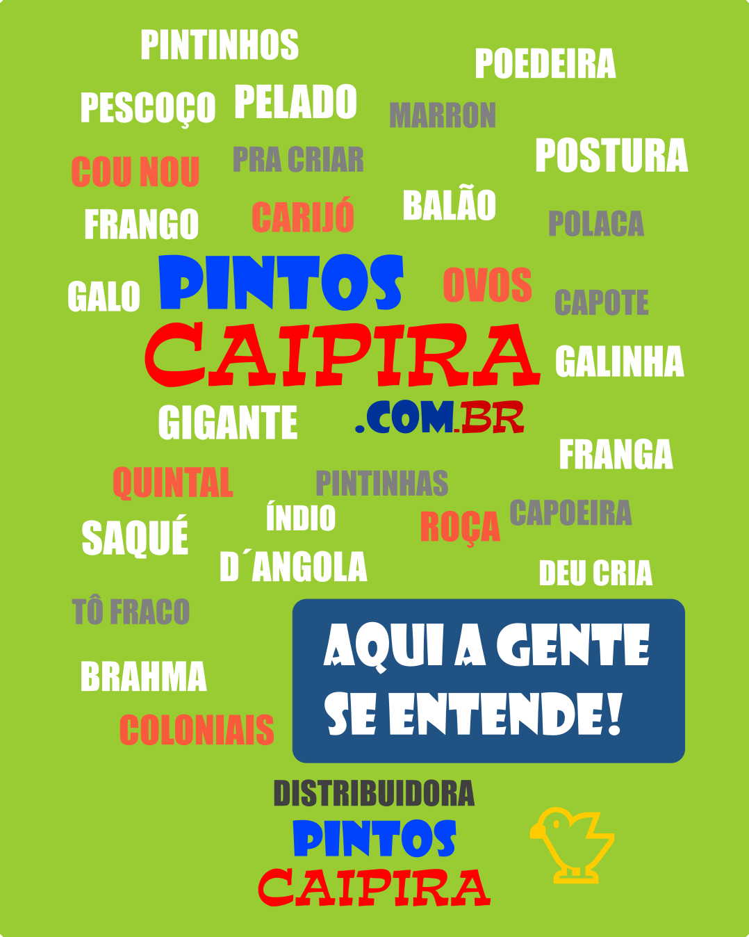 Nós Falamos do Seu Jeito - Somos Caipira